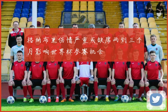格纳布里伤情严重或缺席两到三个月影响世界杯参赛机会